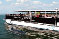 St. Pete Dolphin Watching and Shelling Tour thumbnail 2