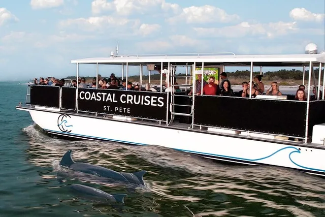 St. Pete Dolphin Watching and Shelling Tour - Image 2