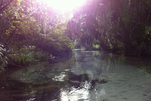 Silver Springs Self-Guided Clear Kayak Adventure - Image 5