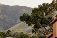 Santa Barbara Wine Country Tour thumbnail 2
