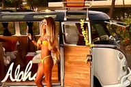 Maui Brewery and Beach Tour in Vintage VW Bus thumbnail 1