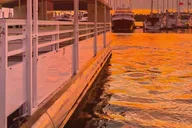 Hilton Head Dolphin Cruise at Sunset 2 hr thumbnail 3