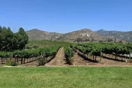 San Diego Vineyard Tour with Tastings thumbnail 3
