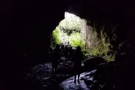 Hilo Volcanoes National Park Private Tour thumbnail 4