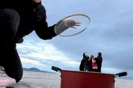 Salt Lake City Antelope Island & Salt Flats Tour thumbnail 4