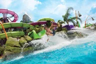 Orlando Park-to-Park Ticket thumbnail 6