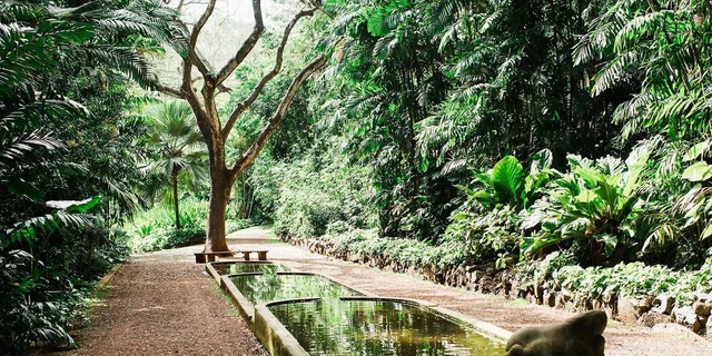 Kauai Allerton Garden Guided Walking Tour 2.5 hr - Image 2