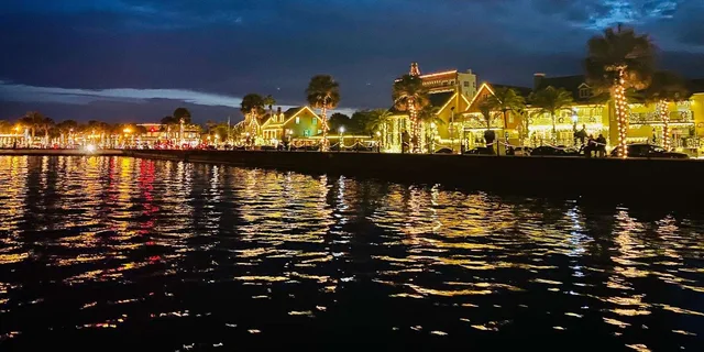 St. Augustine Wildlife and Lights Eco Tour - Image 3