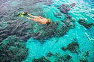 Key Largo Snorkel Tour to Coral Reefs thumbnail 3