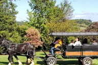 Gettysburg Horse-Drawn Carriage Tour Countryside thumbnail 4
