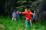 Denali Park Nature Walk with Expert Naturalist 3 hr thumbnail 1