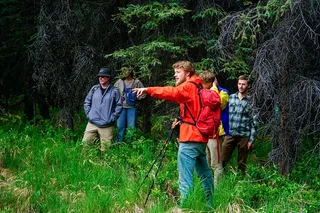 Denali Park Nature Walk with Expert Naturalist 3 hr