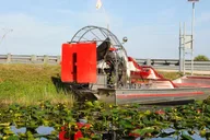 Miami Everglades Airboat Tour with Park Entry thumbnail 5