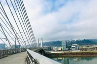 Portland Bike Tour: Art, Culture, and Bridges thumbnail 6