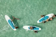 Key West Dolphin Watching Tour with Lunch thumbnail 6