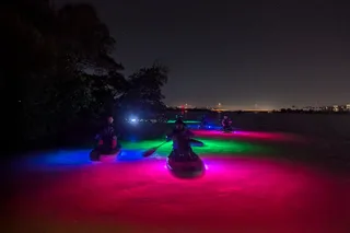 Indian River Bioluminescent Kayak Tour