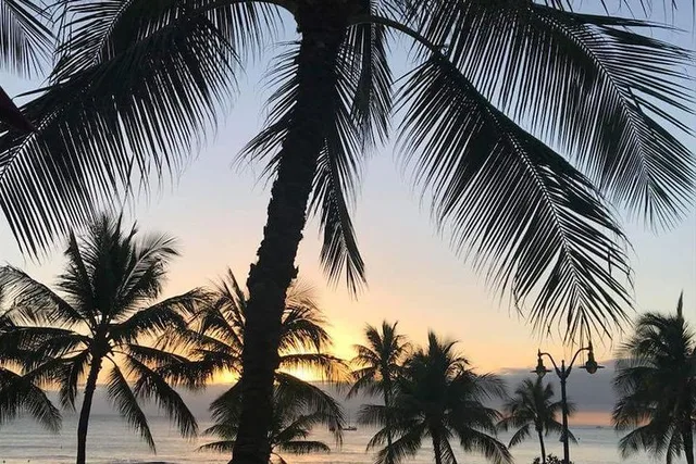 Oahu Private Tour - Image 2