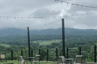 Virginia Winery Excursion by Luxury Vehicle thumbnail 2
