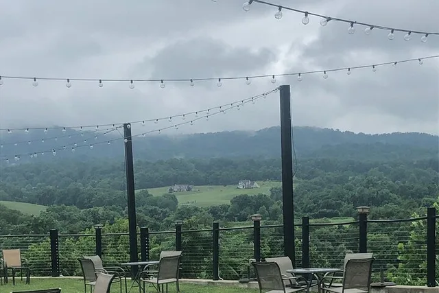 Virginia Winery Excursion by Luxury Vehicle - Image 2