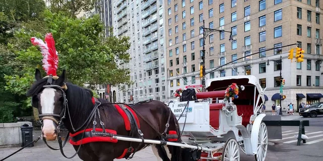 New York City Horse-Drawn Carriage Ride - Image 2