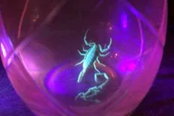 Las Vegas Virtual Scorpion and Black Widow Hunt thumbnail 2