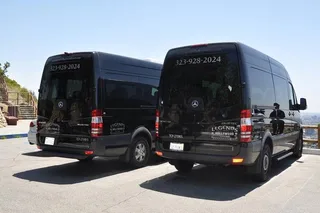 Los Angeles City Tour of Hollywood and Beverly Hills