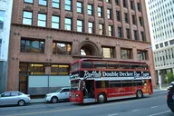 Buffalo Double Decker Bus Tour thumbnail 5