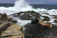 San Diego Private Tour from Oceanside thumbnail 3