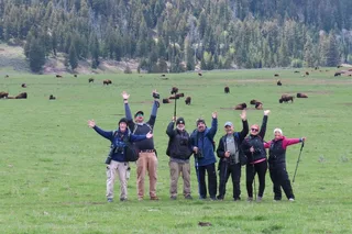 Yellowstone Lamar Valley Safari Hiking Tour