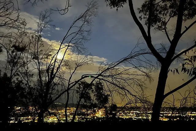 Los Angeles Night Hike - Image 6