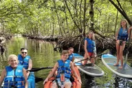 Miami Mangrove Kayak and SUP Tour 2.5 hr thumbnail 3