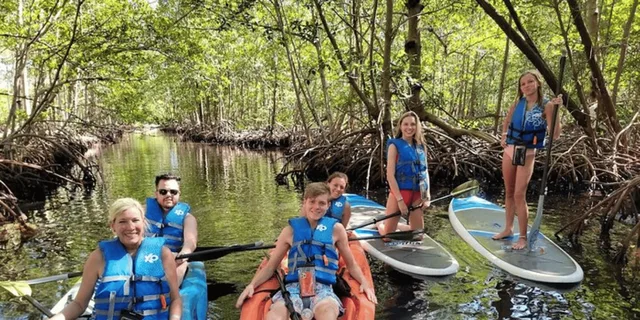 Miami Mangrove Kayak and SUP Tour 2.5 hr - Image 3