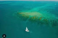 Key West Sailing & Snorkeling Adventure thumbnail 6