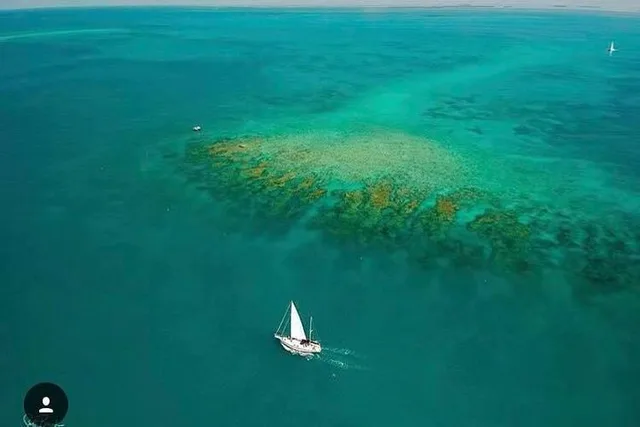 Key West Sailing & Snorkeling Adventure - Image 6