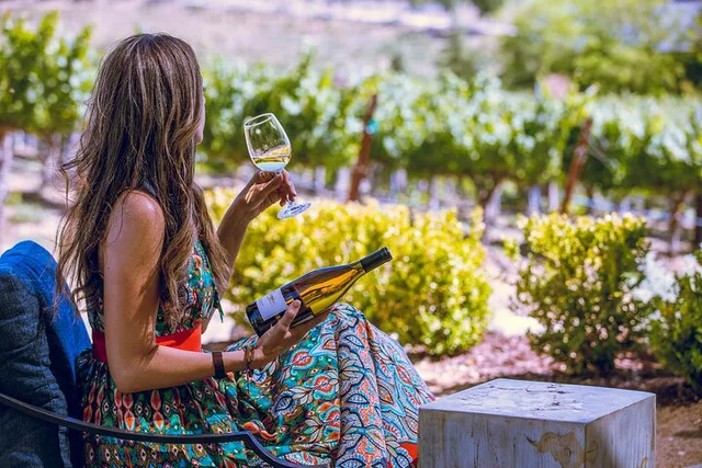 Temecula Valley Wine Tour - Image 6