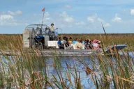 Miami Everglades Airboat Tour with Water Taxi thumbnail 3