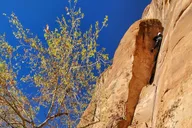 Moab Rock Climbing thumbnail 2