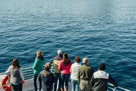 Seward Kenai Fjords National Park Cruise 7 hr thumbnail 6