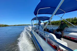 10,000 Islands Dolphin and Manatee Boat Tour
