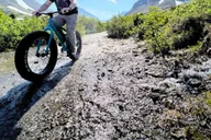 Anchorage Fat Tire Mountain Bike Tour thumbnail 4