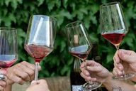 Napa Wine Tasting with Sommelière thumbnail 3