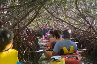 Key West Mangrove Kayak Eco Tour thumbnail 6