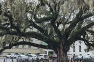 Savannah Historic District and Islands Private Tour 7 hr thumbnail 5