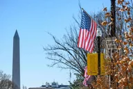 Washington DC City Tour 4 hr thumbnail 2