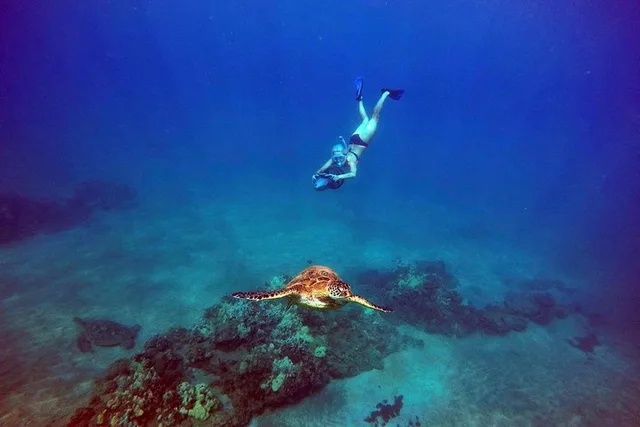 Maui Underwater Scooter Snorkeling Tour - Image 3