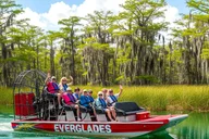 Miami Everglades Airboat Alligator Tour with Transfer thumbnail 1