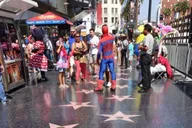 Los Angeles Private Tour thumbnail 4