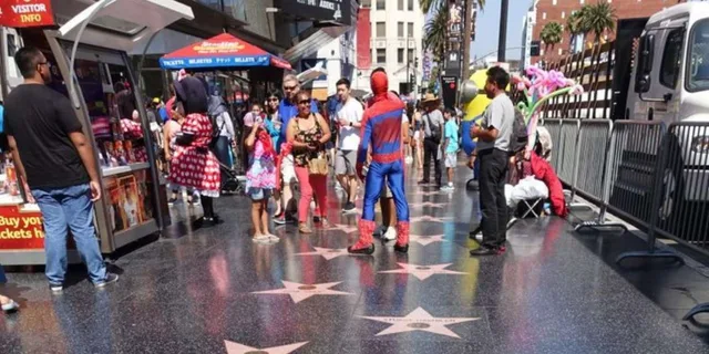 Los Angeles Private Tour - Image 4