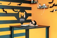 Orlando Museum of Illusions Admission thumbnail 2