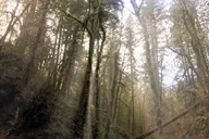 Portland Urban Hiking Tour thumbnail 4